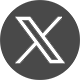 X (Twitter)